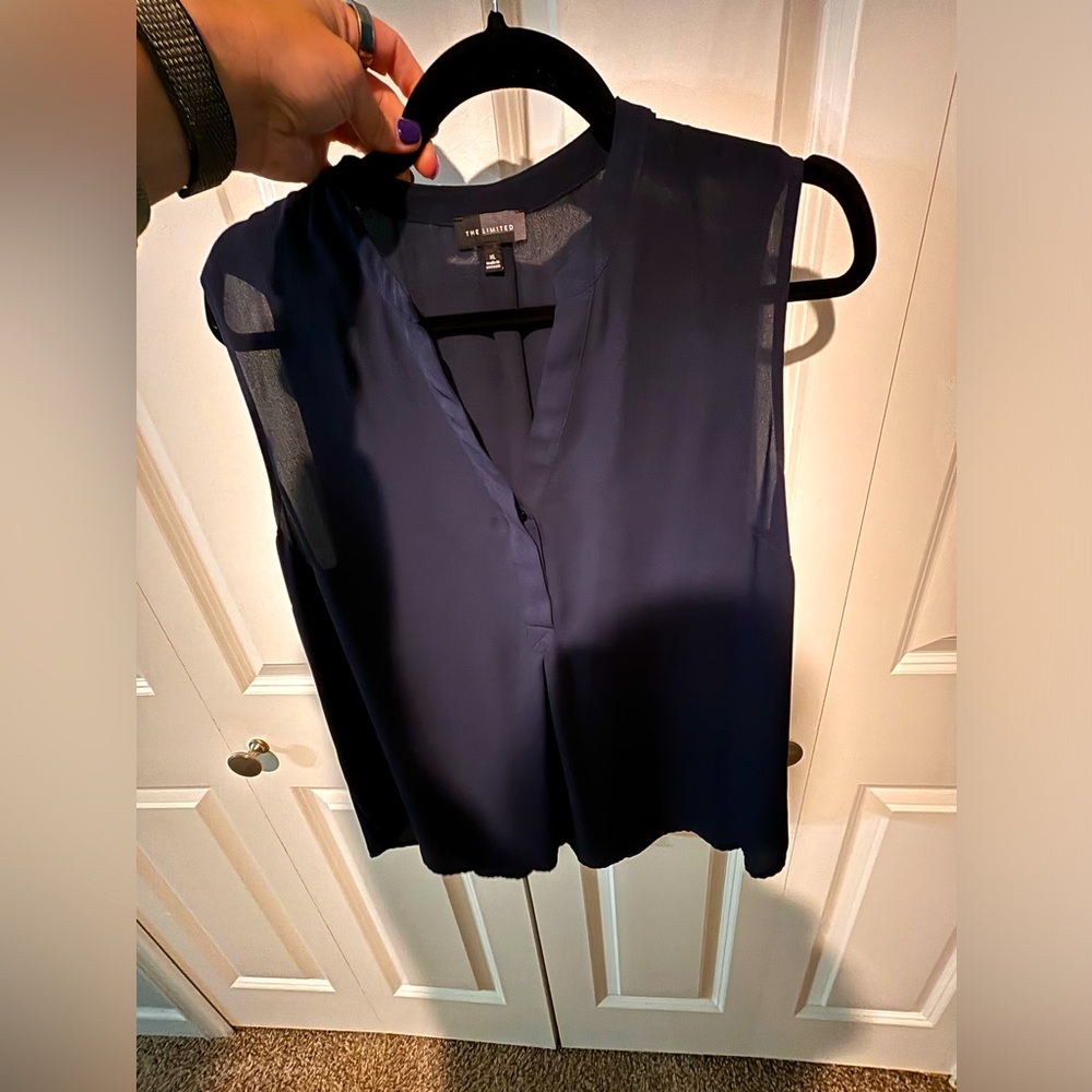 The Limited XL blouse